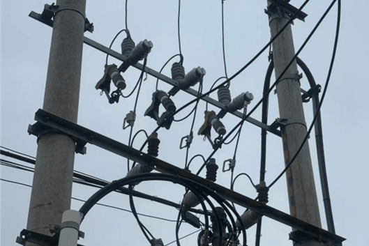 Surge arrester for pole line